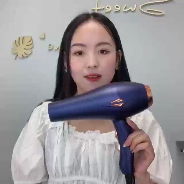 AGM 2500W HighPower Hair Blower Air Blower High Power Quickly Negative