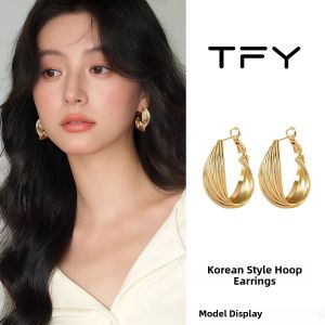 TFY | Elegant Silver Mobius Hoop Earrings