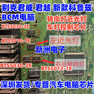 BTS5030-2E BTS5012-1E BTS5010-1E Car Headlight Chip for Buick Regal And Other Vehicles High Quality SOP Packaged ICs