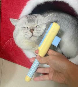 Teekland Cat Self Cleaning Pet Hair Removal Comb Cat Grooming Brush Pet Comb with Long Short Stainless Steel Metal Teeth Pet Grooming Supplies for Cat Dog