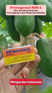 Petrogenol 800L Antraktan 5 ml obat pembasmi hama Perangkap Lalat Buah Insektisida