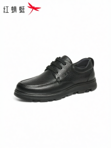 Reddragonfly | Autumn New Men Thick Sole Lace-up Leather Casual Shoes