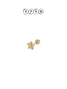 YIPIEYINA | Star-shaped Crystal Earrings 1pc 9K Gold