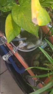 ปั๊มน้ำขนาดเล็ก USB สำหรับทำน้ำตก น้ำพุ ใช้ไฟ 3.5V-9V