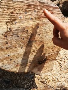 บาร์ / โซ่เลื่อยยนต์ ชุด บาร์โซ่เลื่อยยนต์ บาร์เลื่อยโซ่ โซ่เลื่อย บาร์โซ่ โซ่ใส่เลื่อยยนต์ โซ่ซอยไม้ ขนาด 16 นิ้ว  ( 3/8 ) สำหรับ เลื่อยยนต์ / เลื่อยโซ่ยนต์ / เลื่อยไฟฟ้า รับประกันความคม