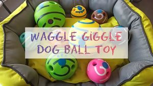 Pet Dog Toy Big Giggle Noisy Ball Mainan Bola Besar 14 cm Bunyi Lucu Hewan Peliharaan Anjing