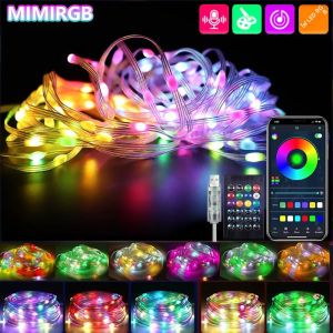ไฟ LED String ทํางานร่วมกับ Alexa Google Assistant Music Sync WS2812B RGBIC แอดเดรสไฟ Fairy String