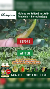 Bio Agrivax Fungicide 500ml Plant Disease Control for Healthier Leaves & Stronger Crops
