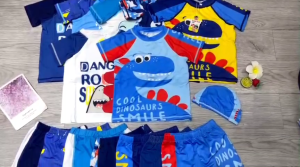 Đồ bơi 2 mảnh áo phủ bụng tay ngắn quần đùi bé trai họa tiết nhiều màu đủ size từ 10kg đến 48kg BINSPORTS BB020