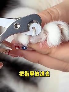 Gunting Kuku Kucing 猫咪指甲剪 Cat Nail Clipper Stainless Steel 不锈钢小盲剪双孔指甲神器 Pet Double Hole Trimmer
