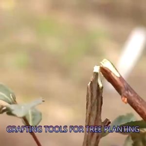 Plant Cut Pruner Garden Branch Cutter Scissor Shear Fruit Tree Pruning Shears Grafting Tools