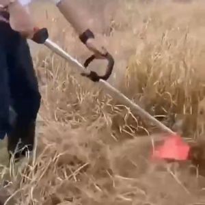 เครื่องตัดหญ้า 4 จังหวะ GX35