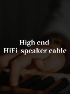 YYTCG | YYTCG One Pair HIFI Speaker Audio Cable High-End Stereo Amplifier Cable 7N OCC silvery plating Wire core Replaceable Y plug