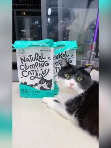 Sola_Pola Cature Natural Tofu Cat Litter Clumping 6L / 2.4kg CN Version Flushable Quickly Clumping Tofu Cat Litter Wood / Logs / Raw Ore All Natural Eco-Friendly Dust Free Cat Litter Odorless Control