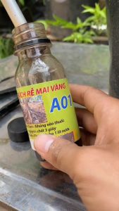 Siêu kích rễ A01 phân bón kích rễ cho các loại cây hoa giâm chiết cành (mua 3 tặng 1)