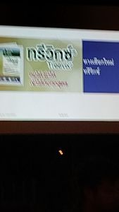 ทรีวิกซ์ซาฟลูฟีนาซิล 10กรัม คุมและฆ่า โดดเด่นในการกำจัดวัชพืชที่มีเมล็ดใหญ่ เช่น หญ้ายาง และโสน