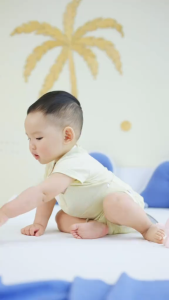 Bộ Cộc Sơ Sinh COOKIE Bộ Cộc Sơ Sinh Cài Giữa Babycorn Từ 0 Đến 9 Tháng 2026