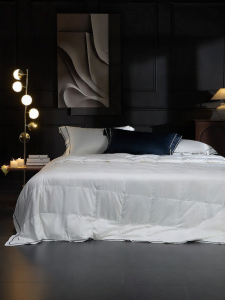 Mercury | Washable Hungarian 95% White Goose Down Antimicrobial Lightweight Summer Blanket
