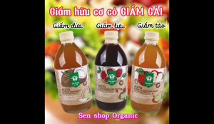 Giấm lựu - Giấm táo - Giấm dừa hữu cơ có giấm cái Probios (Vinegars with mother) - 500ml