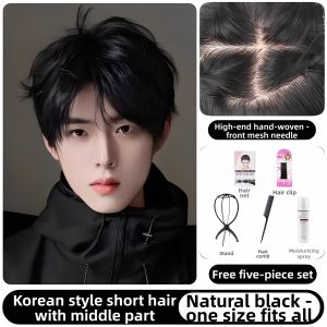 WEIWEI | Natural & Lightweight Mens Wig