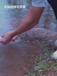 PATGEAR | Emergency Portable Water Filter Activated Carbon