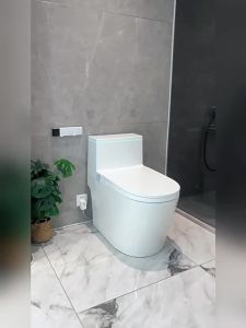 TEM | New Automatic Elderly Friendly Toilet with Tank