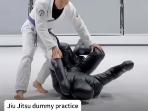 Pro Grappling Dummy Lightweight Design For Brazilian Jiu-jitsu Judo Home Gym