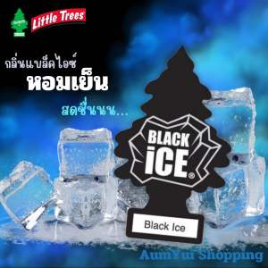Black ice (กลิ่นแบล็คไอซ์)  | Little Trees (แผ่นเล็ก) น้ำหอมปรับอากาศ