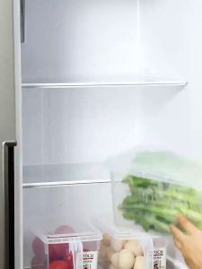Kitchen Fruit Food Fridge Organizers and Storage Clear Plastic Box Container with Lid Petik Sejuk
