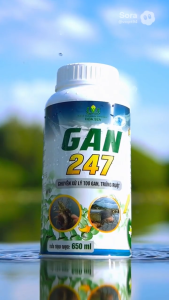 GAN 247 Xử Lý Gan Ruột Thủy Sản Giảm Phân Trắng Tăng Đề Kháng Tôm Cá 650ml
