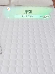Anti-slip Waterproof Thick Bed Protection Pad