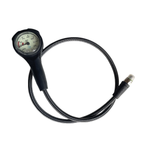 dbsqszb | Waterproof Pressure Gauge