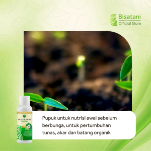 Hainut Daun 100ml Pupuk Pemacu Pertumbuhan Tanaman Pupuk Vegetatif Tanaman Nutrisi Pertumbuhan Akat Batang Daun Tanaman
