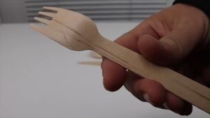 Dĩa gỗ dài 16cm Dùng 1 lần thân thiện môi trường (50 cái)