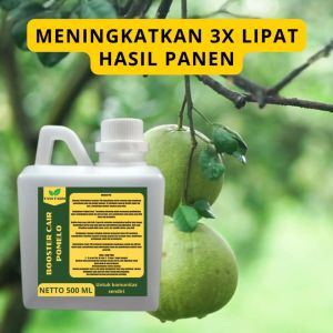 Pupuk Pomelo: Meningkatkan Produksi dan Kualitas Buah