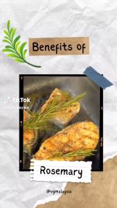 VG  Rosemary Organic Lip Balm Moisturizer (with Vitamin E) 100% Vegan