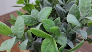 Wood Dining Table Set with Chair 5 Piece Dining Table Set Furniture Kitchen Table Set with Square Stools and Metal Frame Dining Table and Chairs