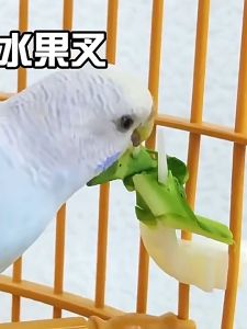 Gantungan Cantolan Pengait Makanan Kandang Burung