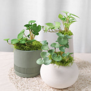 6.7 Inch Artificial Copper Coin Grass Plants Wall Potted Decoration Handmade Fake Ivy Leaf Leaves  Office Garden Home Decor Wall Hanging Mini Bouquet Simulation Plant