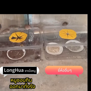 【ร้านค้ากรุงเทพ จัดส่ง 24 ชม】ไม่มีผล คืนเงิน 10 เท่า SHANMING ยาเบื่อ หนู10/20/30/50pcs ยาฆ่าหนู ยาเบื่อหนู กำจัดหนูในบ้าน ยาฆ่าหนูแห้ง ยากำจัดหนูบ้าน ยาเบื่อหนูแรง เหยื่อดักหนู กำจัดหนู ยาฆ่าหนู สะตอมยาเบื่อหนู ยาเบื่อ หนู แรงๆ ยาฆ่าหนูยกรัง ยาหนูตายแห้ง