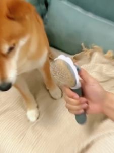 แปรงสลิกเกอร์ slicker แบบกดขนออกได้