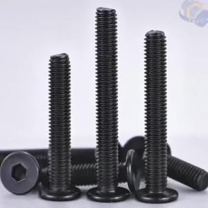 M2 M3 M4 M5 M6 M8 Black 304 Stainless Steel Low Profile Socket Head Cap Screws Hex Key Bolts Ultra Thin Flat Head Allen Hexagon