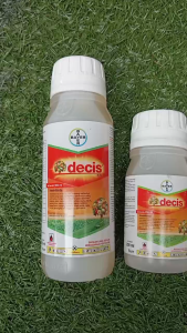 Insektisida Decis 25EC