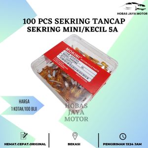 [100 Pcs] Sekring Tancap Fuse Kecil 5A 7.5A 10A 15A 20A 25A 30A