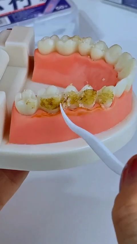 Tăm Chỉ Nha Khoa Hộp 50 Chiếc Nhật Bản Chính Hãng Sợi Chỉ Nhỏ Chăc Chắn Siêu Mịn Làm Sạch Từng Kẽ Răng