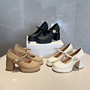 French gentle evening breeze Mary Jane high heels womens versatile block heel skirt spring small leather shoes single shoes