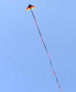 New Children kites flying outdoor fun toys nylon delta kite factory summer toys kitesurf wing kites line wind dragon naish buggy