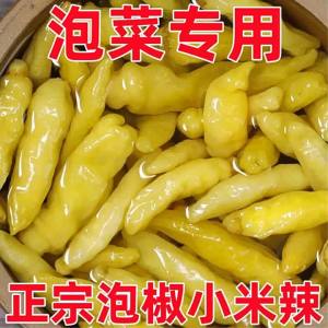 Pickled Pepper Commercial Spicy Peppers