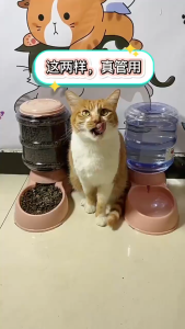 3.8L Grey/Blue Dog Cat Auto Water Dispenser Pet Automatic Feeder Large Capacity Feeding Food Bowl 宠物自动饮水机