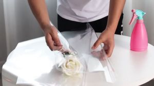 ขอบ กระดาษแก้วห่อดอกไม้ พร้อมส่งจากไทย แผ่นพลาสติกใสมีขอบ สมบูรณ์